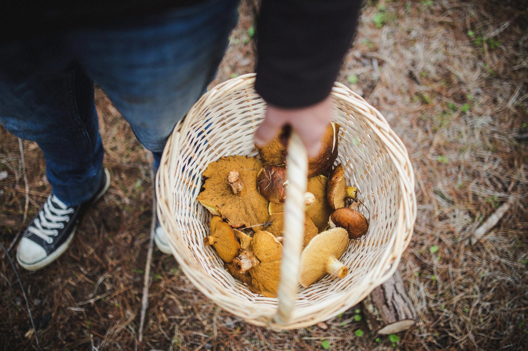 Catherine-del-Pino-Diego-Prado-08