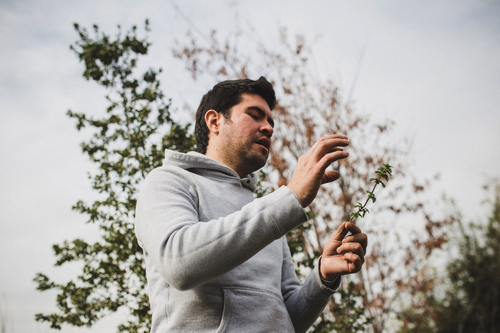 Catherine-del-Pino-Diego-Prado-09