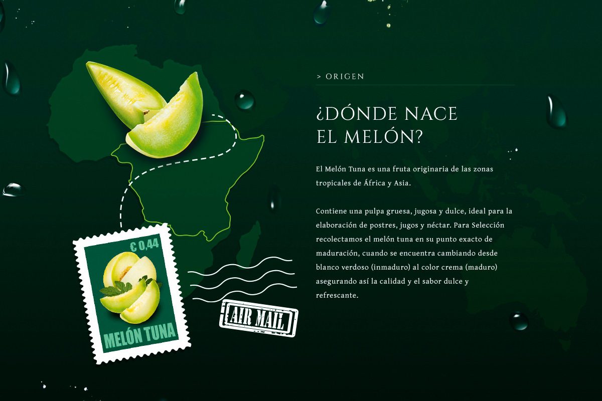 Catherine-del-Pino-Melon-Tuna-0