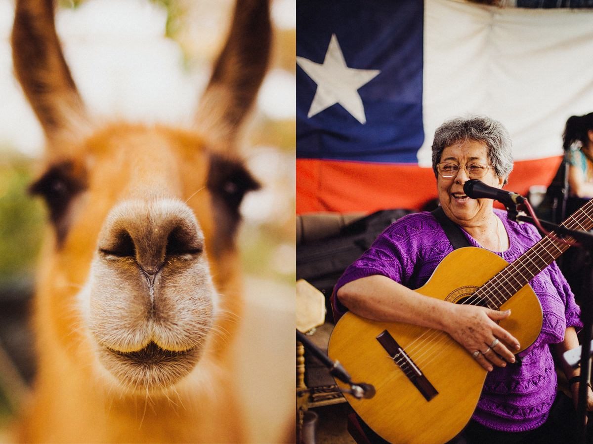 Catherine-del-Pino-Quinta-de-los-Nunez-06